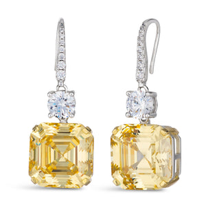 30 Carat Diamond Crystalline Drop Earrings