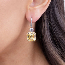 30 Carat Diamond Crystalline Drop Earrings